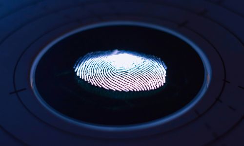 Interpol Red Notices and Extradition: What Happens After an International Alert