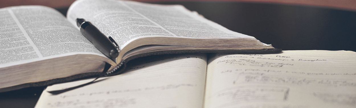 INTERPOL Request Declined: How to Appeal, File a CCF Revision, and Challenge a Red Notice
